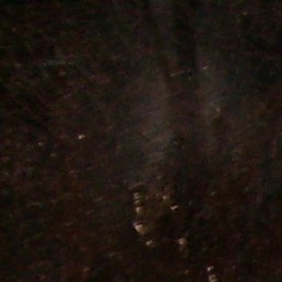 ������, ��������, 66 ���