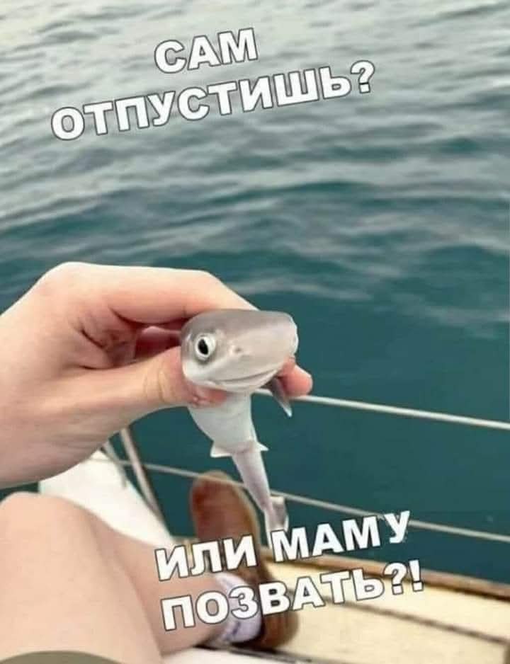   - 9  2025  18:58