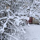 ���� �������, ������� - ��������� 26 ������� 2025 � ������ ������ ��������