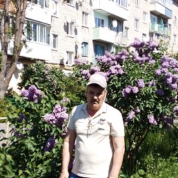 �������, 65 ���, �����������