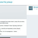 ���� �������, ������� - ��������� 9 ���� 2026