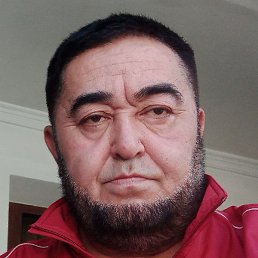 , , 50 