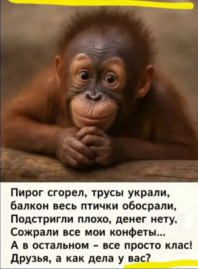 ����� - 12 ���� 2025 � 11:25