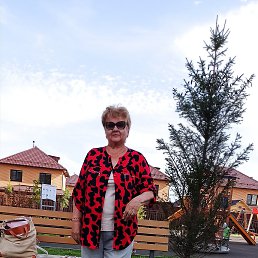 , 65, 