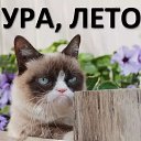 ���� ������� =)))))))), ���� - ��������� 6 ������ 2025 � ������ ���� ����������