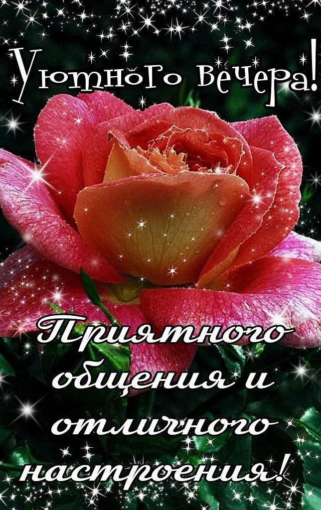 ОБО ВСЕМ - 26 сентября 2025 в 19:42