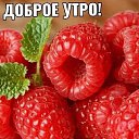 ���� �����, ����������, 68 ��� - ��������� 18 ������ 2023