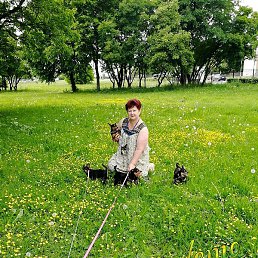 ��������, �����-���������, 53 ����