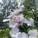 ���� ������, ����������, 66 ��� - ��������� 3 ������� 2025