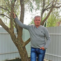 , 54, 