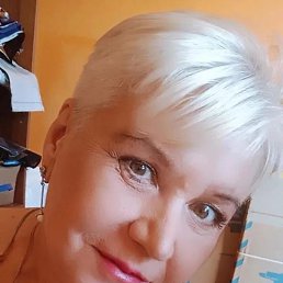 ���� �������, ������, 52 ���� - ��������� 14 ������ 2026