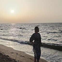 �����, ���������