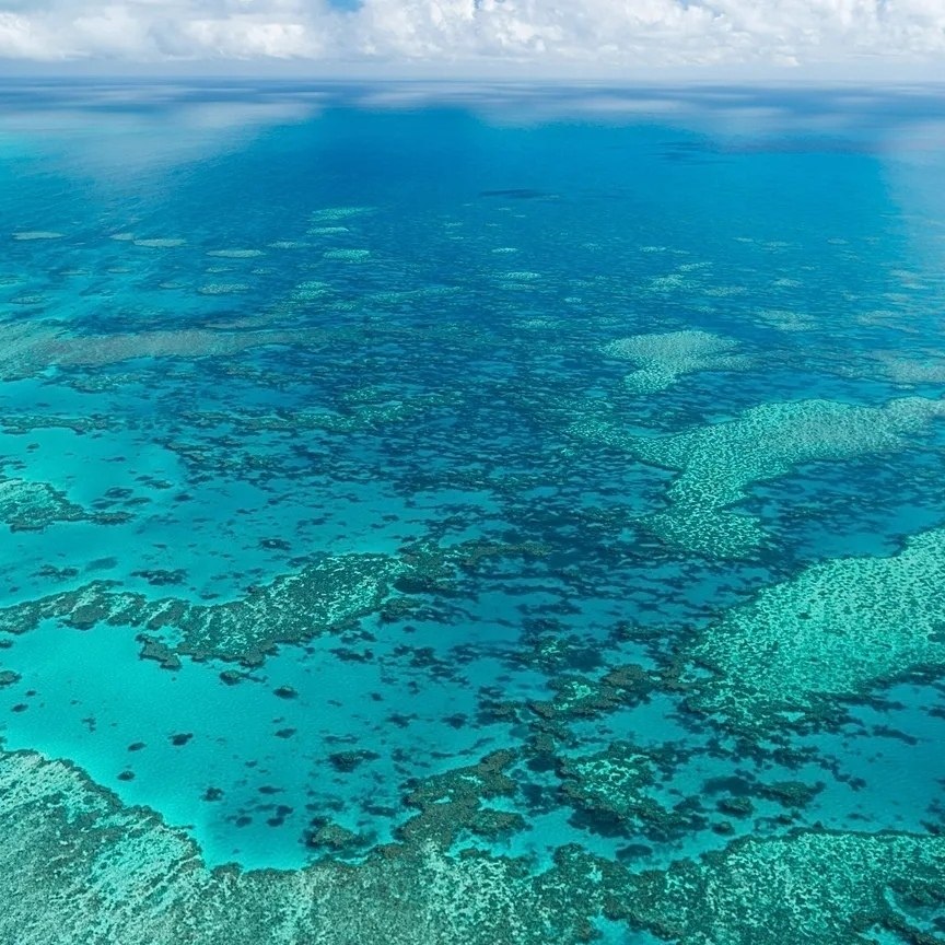 cpa 80-e accapa pa Coral dvnturr oa oce oo, a co o, oca ... - 2