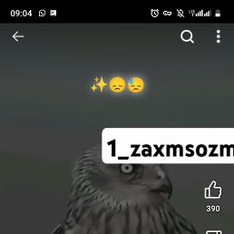 ���� Behka, ������������, 21 ��� - ��������� 30 ������� 2024