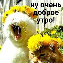 ������, ������, 42 ����