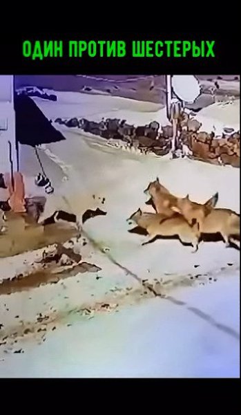 ���� � ���� ����!