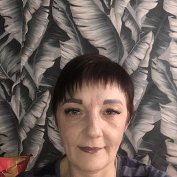 ���� �����, ������������, 51 ��� - ��������� 19 ����� 2026