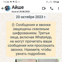 ���� ����, �����������, 37 ��� - ��������� 14 ������ 2024