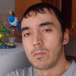 ����, ������������, 35 ���