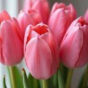 ���� �����, ����������� - ��������� 27 ����� 2026 � ������ ������ ��������