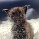 ���� �����, �����-��������� - ��������� 23 �������� 2025 � ������ ������ ��������