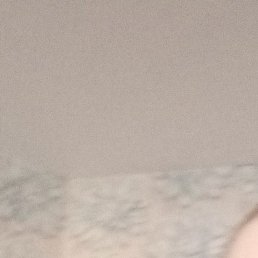 �������, ������, 49 ���