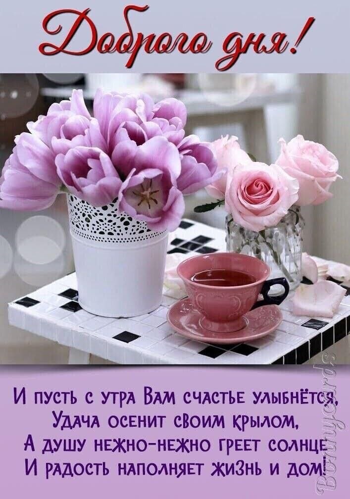 ��� ���� - 21 ����� 2026 � 00:31