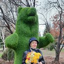 ���� ������, �����������, 66 ��� - ��������� 23 ������� 2024 � ������ ���� ����������