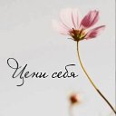 ���� *�����*, ����� - ��������� 22 ������ 2025 � ������ ������ ��������