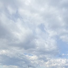 �����, �����, 35 ���