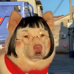 �������, �����������, 41 ���