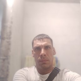 , 43 , 