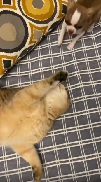 �� ���� �� ��� �������, �� ������, � �������?! - 2