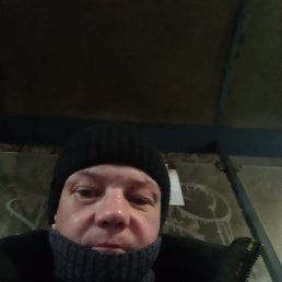 �����, 38 ���, ������ ��������