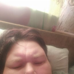 , 44, 