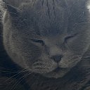 ���� ����, ������, 33 ���� - ��������� 27 ������� 2024 � ������ ���� ����������