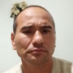 �����, �����, 46 ���