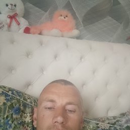 , 34, 