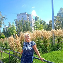 �������, ��������, 65 ���