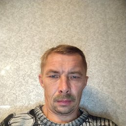 ���� �����, ������, 48 ��� - ��������� 2 ������� 2026