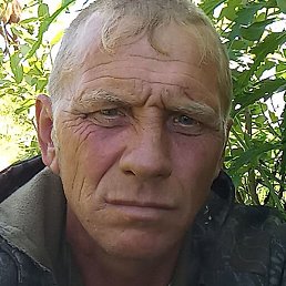 ��������� ����������, ������, 43 ����