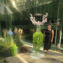 ���� �������, �����-���������, 40 ��� - ��������� 5 �������� 2025 � ������ ���� ����������