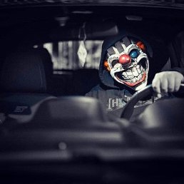 ���� Shelly, ���������, 33 ���� - ��������� 17 ������ 2024