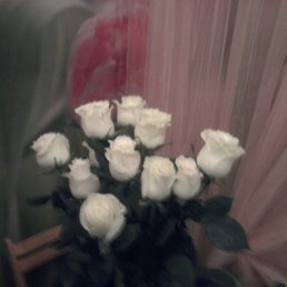 �����, ������, 52 ����