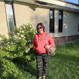 ���� �������, ���������, 66 ��� - ��������� 22 ����� 2026