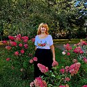 ���� ������, ������, 55 ��� - ��������� 14 �������� 2024 � ������ ���� ����������