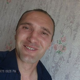 ������, ������������, 46 ���