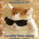 ���� ������, ������, 48 ��� - ��������� 7 ������ 2024 � ������ ���� ����������