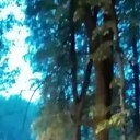 ���� �������, ������, 45 ��� - ��������� 7 ���� 2026 � ������ ���� ����������