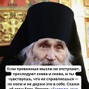 ���� ��������, ����������� - ��������� 8 ������� 2025 � ������ ������ ��������